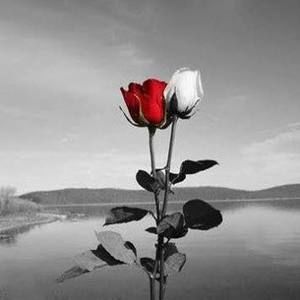 Meet your Posher, Mary-ellen